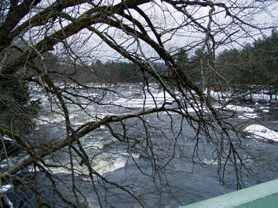 Black River in Hawkinsville